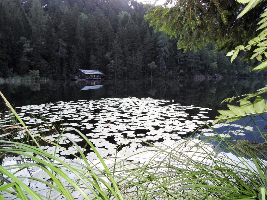 מלון אוץ Gasthof Piburger See מראה חיצוני תמונה